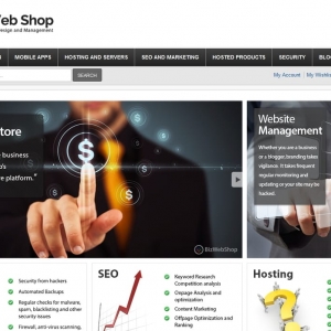 Photo of Biz Web Shop