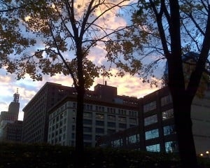 Photo of Holt Law