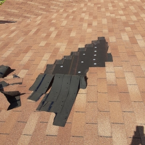 Photo of Florida Roof Testing