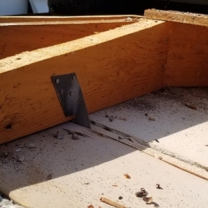Photo of Florida Roof Testing