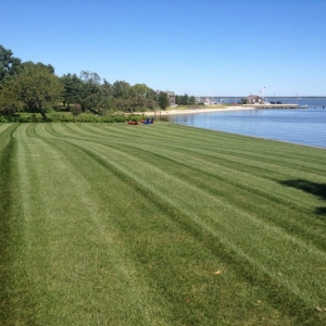 Tempe Lyon Landscaping