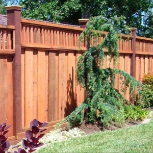 Sacramento Lifescaping