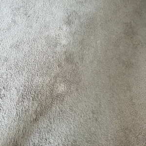 Photo of Classic Carpet & Tile Cleaning