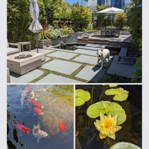 Boulder Creek Elemental Design Group