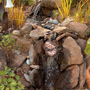 Photo of The Avant Gardener