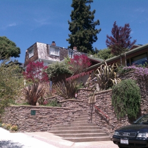 Photo of The Avant Gardener