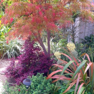 Photo of The Avant Gardener