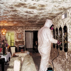 Photo of HESD Water Damage