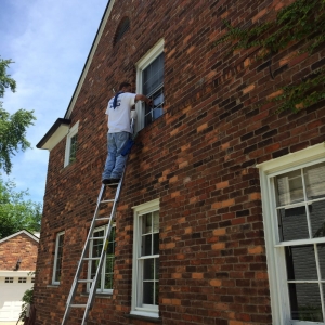 Photo of Looking Glass Window Cleaning