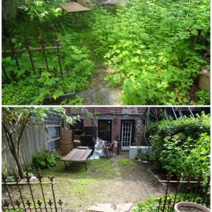 Photo of Bed-Stuy Garden Guy