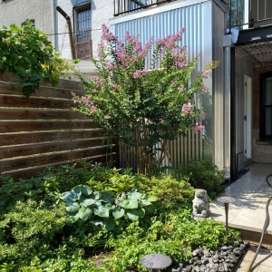 Photo of Bed-Stuy Garden Guy