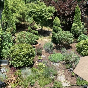 Photo of Bed-Stuy Garden Guy
