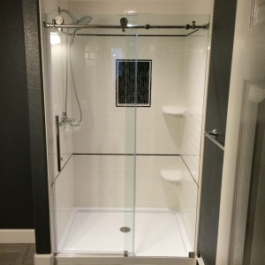 Denver Aspen Shower Door