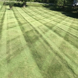 Photo of Sawyer Landscaping