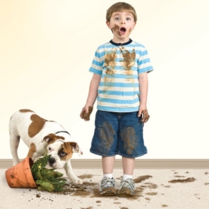 San Diego Mega Dry Carpet Cleaning