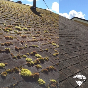 Photo of Diamond Window Cleaning