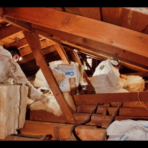 Photo of Alligator Insulation