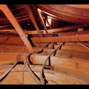 Photo of Alligator Insulation
