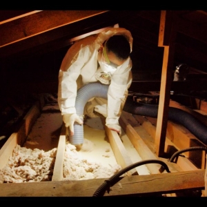 Photo of Alligator Insulation