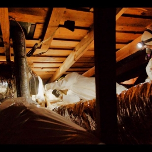 Photo of Alligator Insulation