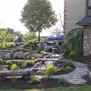 Collegeville Goff Tree and Landscape