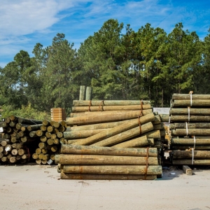 Photo of Decks & Docks Lumber Company Jacksonville