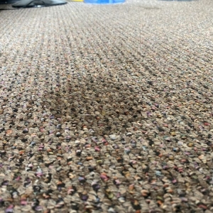 Photo of My Carpet Cleaning