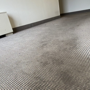 Photo of My Carpet Cleaning
