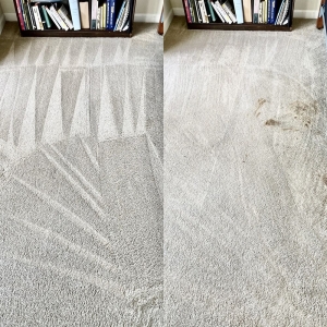 Photo of My Carpet Cleaning