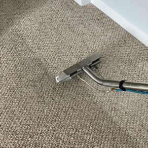 Photo of My Carpet Cleaning