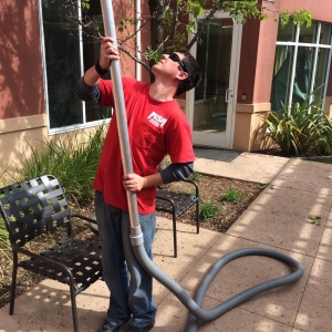 Photo of Fish Window Cleaning