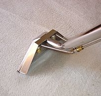 Photo of Carpet Medic