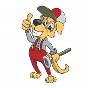 Photo of Paws Plumbing