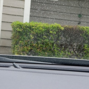 Photo of Best Choice Pressure Wash & Roof Cleaning