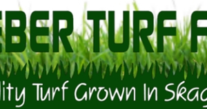 Photo of Lefeber Turf Farm