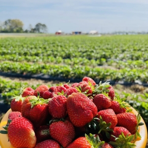 Photo of Hickory Ridge Farm