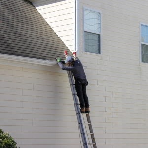 Photo of Shield Roof