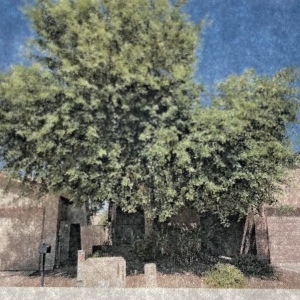 Photo of Jaguars Landscaping