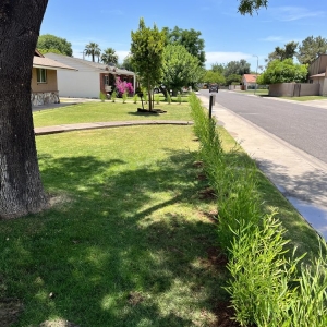 Photo of Jaguars Landscaping
