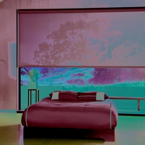 Photo of Window-ology