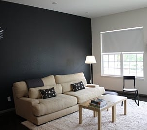 Photo of Brush Brothers Painting