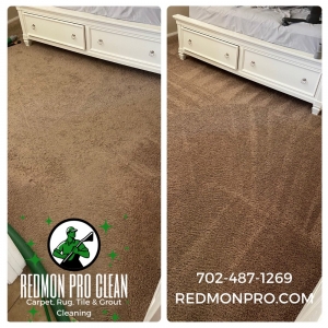 Photo of Redmon Pro Clean