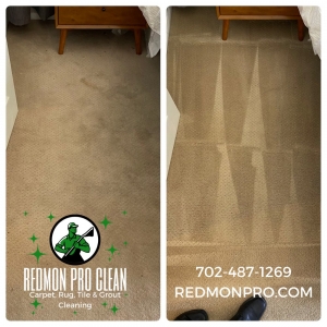 Photo of Redmon Pro Clean