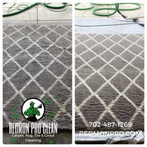 Photo of Redmon Pro Clean