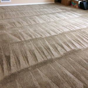Photo of Blue Topaz Carpet Care