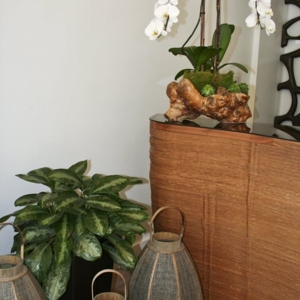 Photo of Greenleaf Interior Plant Solutions