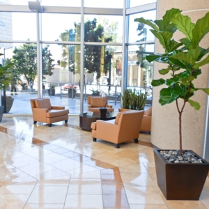 Photo of Greenleaf Interior Plant Solutions