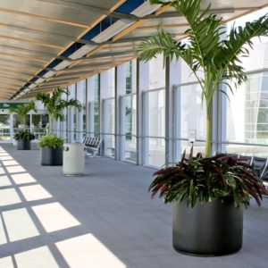 Photo of Greenleaf Interior Plant Solutions