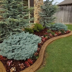 Photo of Special T Landscaping