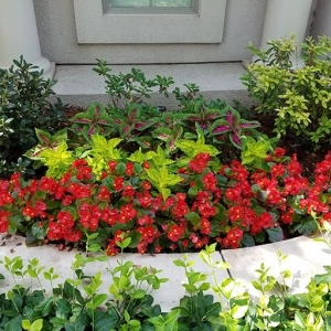 Photo of Special T Landscaping